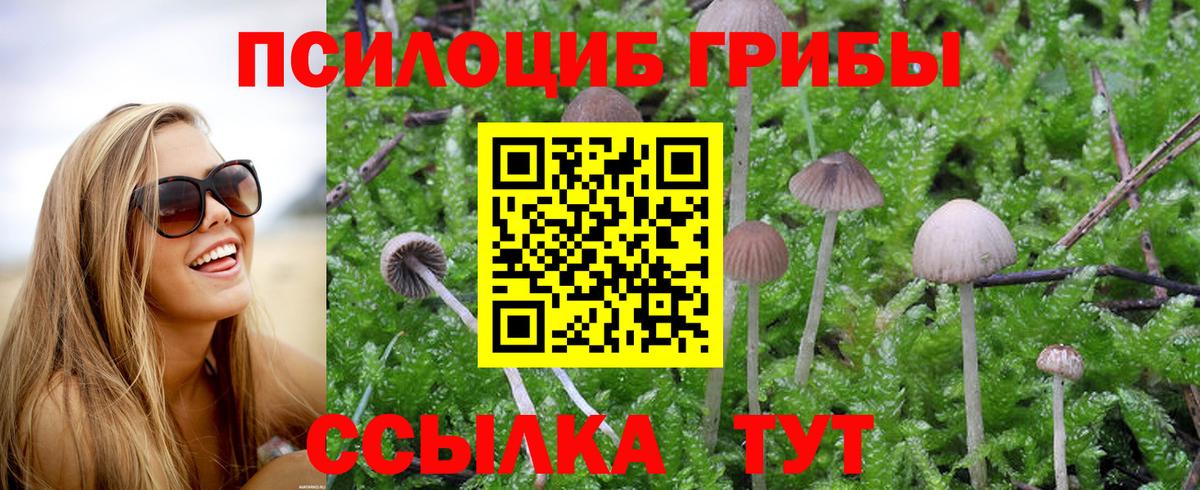 Галлюциногенные грибы GOLDEN TEACHER Красноармейск