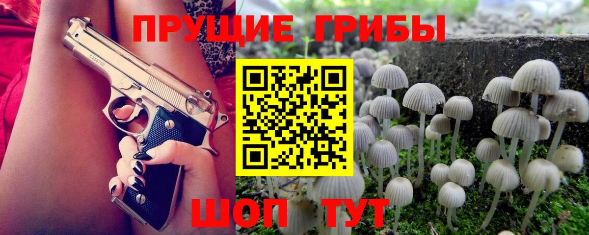 Псилоцибиновые грибы GOLDEN TEACHER  Вход с VPN  Красноармейск 